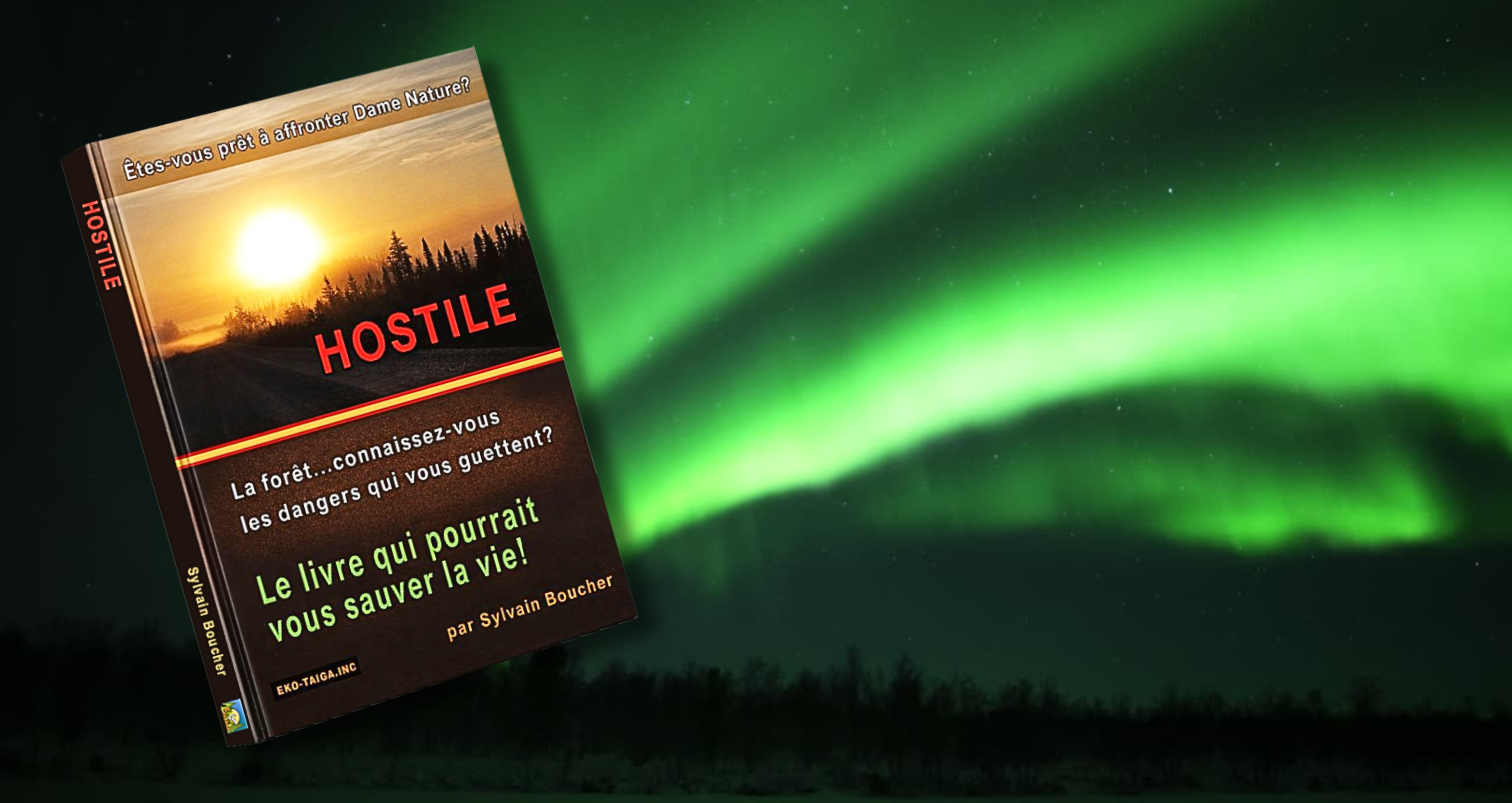 Hostile: Le livre qui pourrait vous sauver la vie!